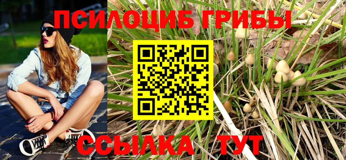 Галлюциногенные грибы прущие грибы Славгород